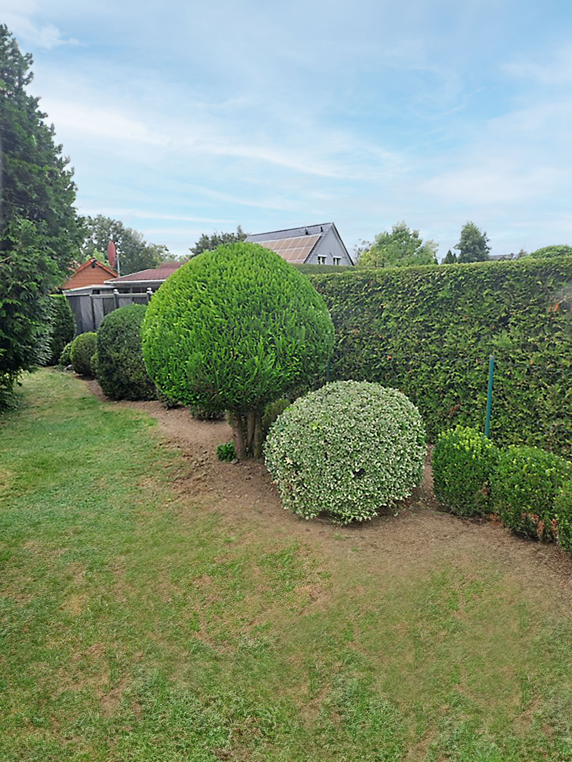 Garten Baumschnitt