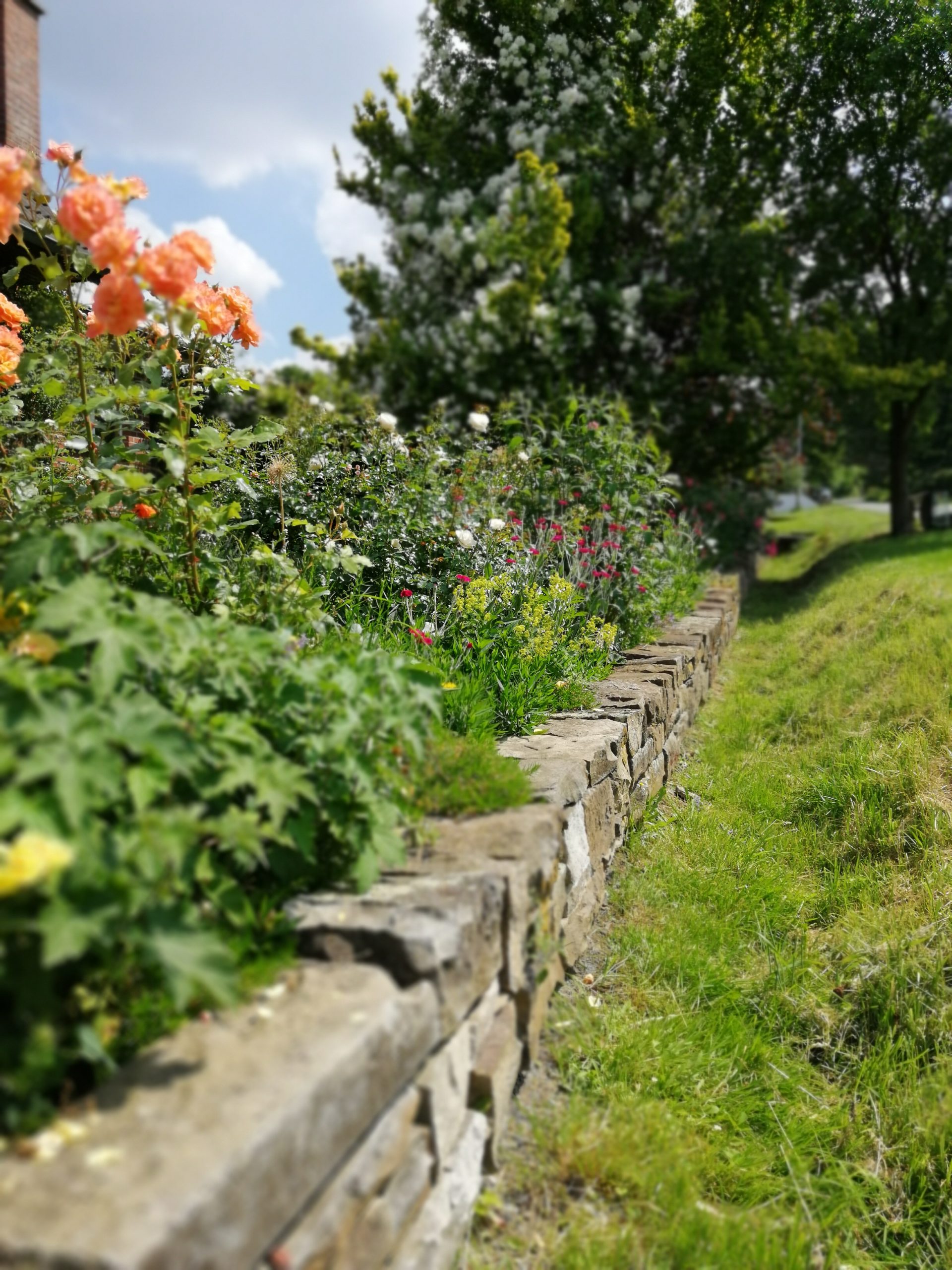 Blumenbeet mit Mauer
